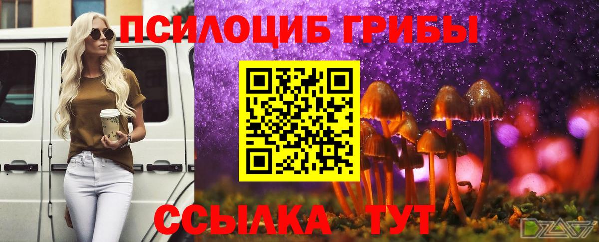 Галлюциногенные грибы ЛСД Грозный