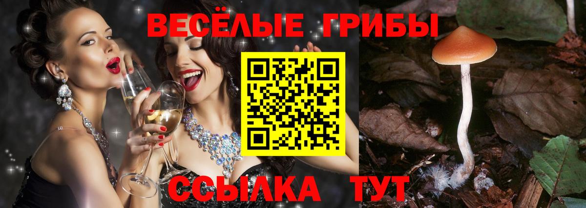 Псилоцибиновые грибы Psilocybine cubensis  как найти   Вход с VPN  Грозный  Галлюциногенные грибы мицелий 